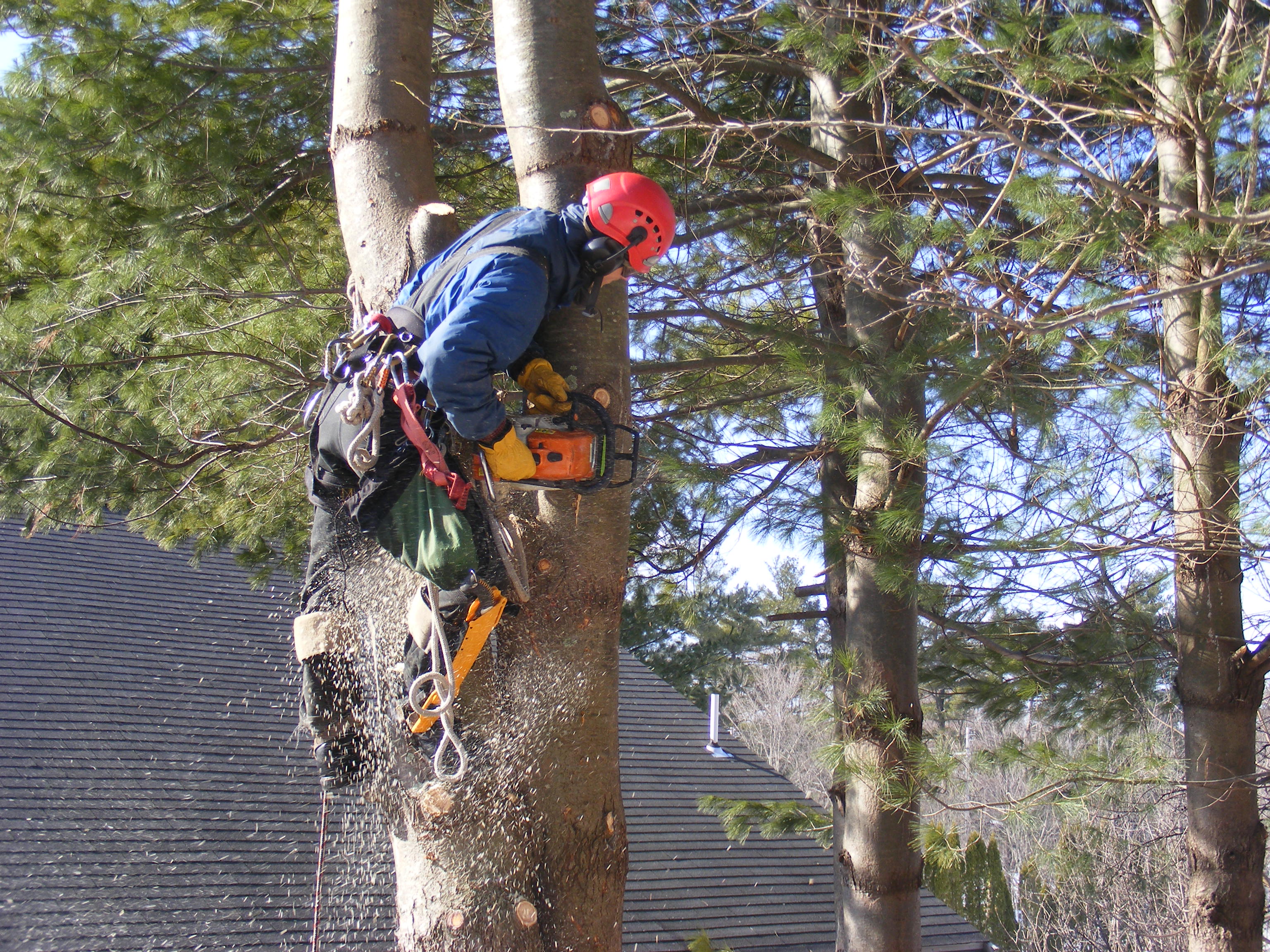 10 Questions to Ask Before Hiring a Concrete Contractor